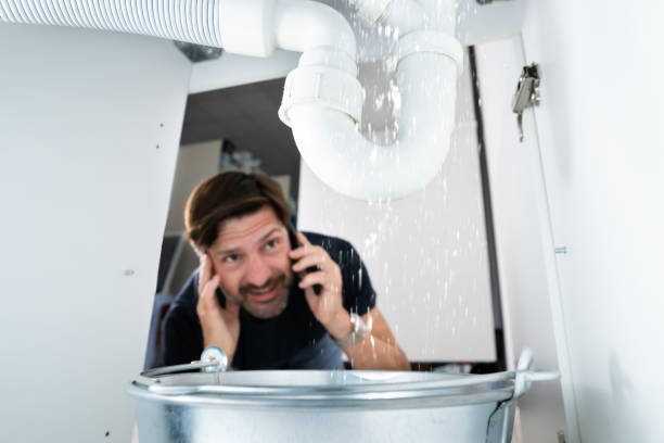 Best Affordable Plumbing Services  in Lake Isabella, MI