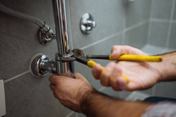 Best Plumbing Inspection Services  in Lake Isabella, MI